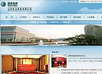 山東電力設(shè)備有限公司