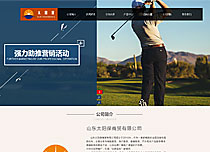 山東太陽保集團